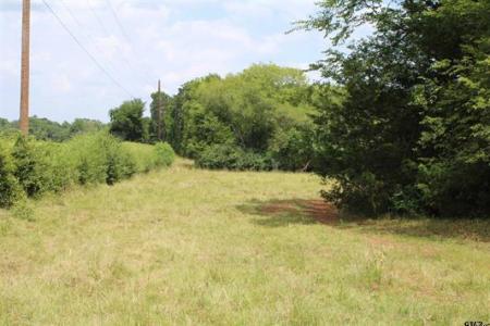 TBD Loop 456 - 59.94 acres, Jacksonville, Texas 75766, USA