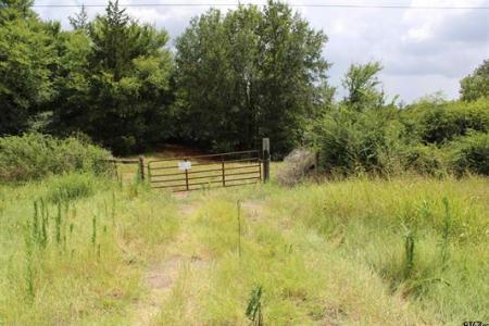 TBD Loop 456 - 59.94 acres, Jacksonville, Texas 75766, Stati Uniti