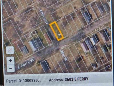 3603 E Ferry St, Detroit, Michigan 48211, Estados Unidos