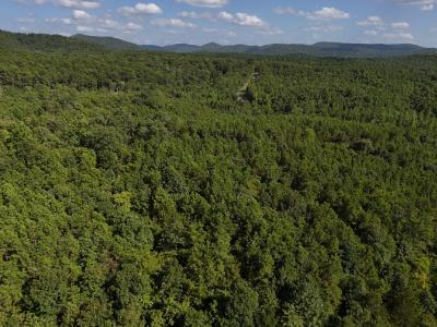 Lot 18 Polk Road 78, Mena, Arkansas 71953, USA