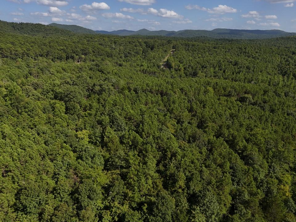 Lot 18 Polk Road 78, Mena, Arkansas 71953, Stati Uniti