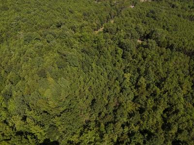 Lot 18 Polk Road 78, Mena, Arkansas 71953, Stati Uniti