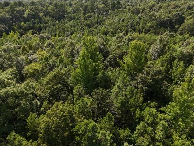 Lot 18 Polk Road 78, Mena, Arkansas 71953, Stati Uniti