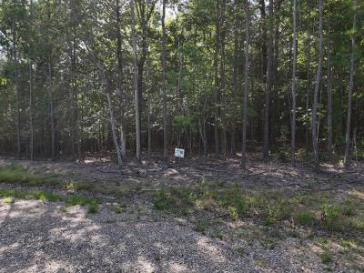 Lot 18 Polk Road 78, Mena, Arkansas 71953, Stati Uniti
