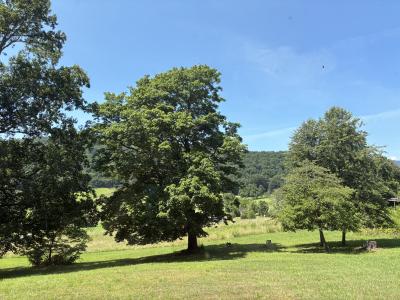 105 Berry Ridge Road, Buchanan, Virginia 24066