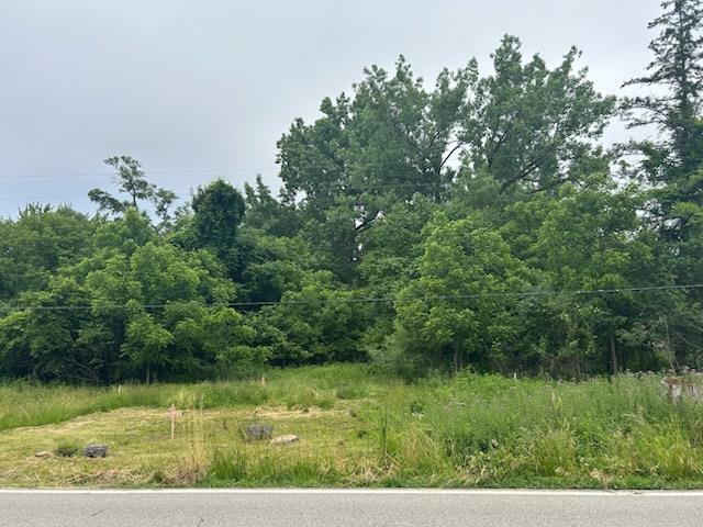 4745 E Bailey Bridge, Freeland, Michigan 48623, USA