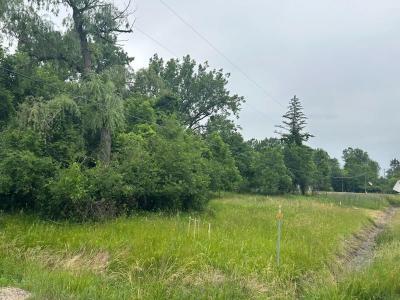 4745 E Bailey Bridge, Freeland, Michigan 48623, USA