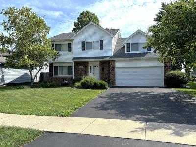 162 N Canyon Drive, Bolingbrook, 일리노이 60490, 미국