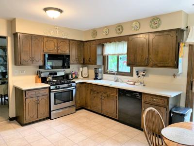 162 N Canyon Drive, Bolingbrook, 일리노이 60490, 미국
