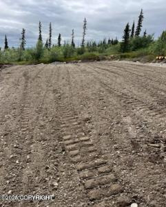 L6 B9 Keyes Point Lake Clark, Remote, 阿拉斯加州 99640, 美国