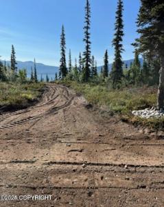 L6 B9 Keyes Point Lake Clark, Remote, 阿拉斯加州 99640, 美国