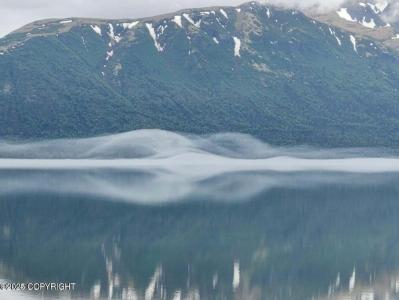L6 B9 Keyes Point Lake Clark, Remote, 阿拉斯加州 99640, 美国