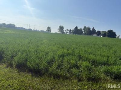TBD Cr 61 Road, Hamilton, إنديانا 46742, الولايات المتحدة