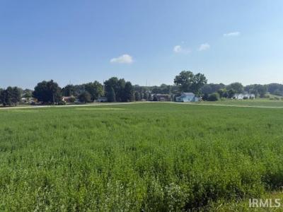TBD Cr 61 Road, Hamilton, إنديانا 46742, الولايات المتحدة