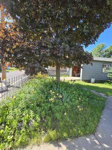 52291 Duncan, Hubbell, Michigan 49934, États-Unis