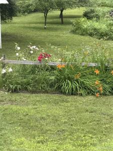 51780 Canal, Houghton, Michigan 49931, Stati Uniti