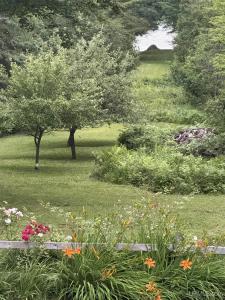51780 Canal, Houghton, Michigan 49931, Stati Uniti