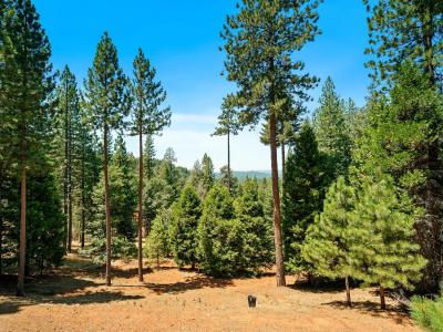 5106 Woodhaven Court, Grizzly Flats, Californie 95636, États-Unis