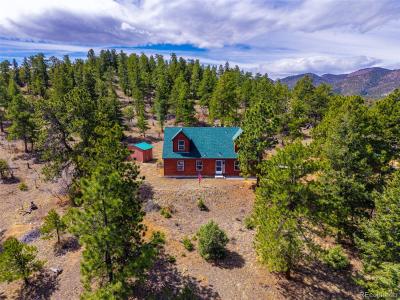 1136 Bird Point Drive, Cotopaxi, Colorado 81223