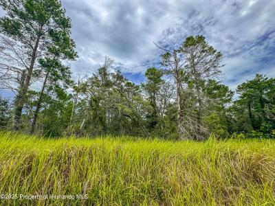 0 Bahama Swallow Avenue, Weeki Wachee, Florida 34613, USA