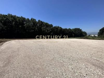 Rinas, Tirana, Albania