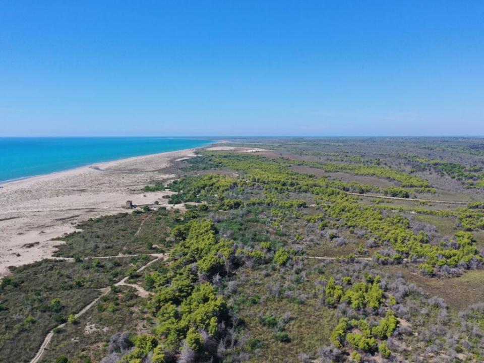 Novosel, Vlorë, ألبانيا 