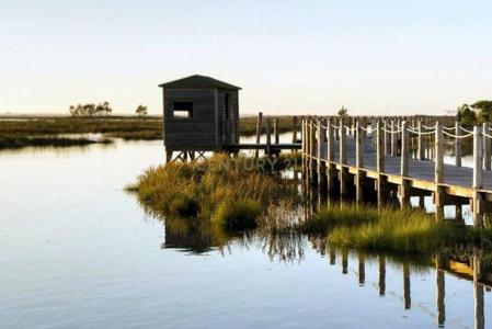 Aveiro, Aveiro 3800-562, Portugal