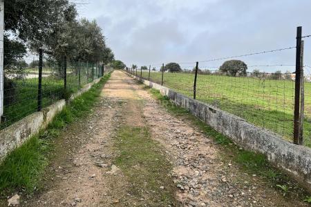 Monforte, Portalegre 7450-200, Portugal