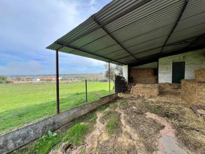 Monforte, Portalegre 7450-200, Portugal