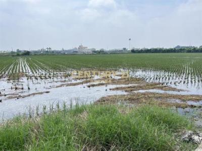 安殿巷, Erlin Township, Changhua County 526, Taiwan