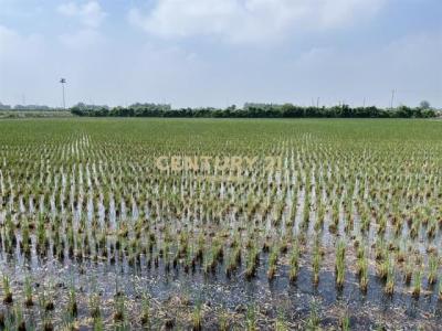 安殿巷, Erlin Township, Changhua County 526, Taiwan