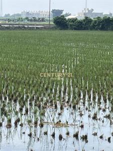 安殿巷, Erlin Township, Changhua County 526, Taiwan