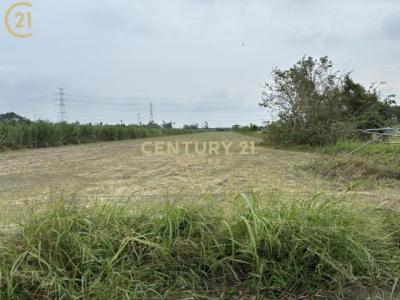 磚子井, Madou Dist., Tainan 721, Taiwan