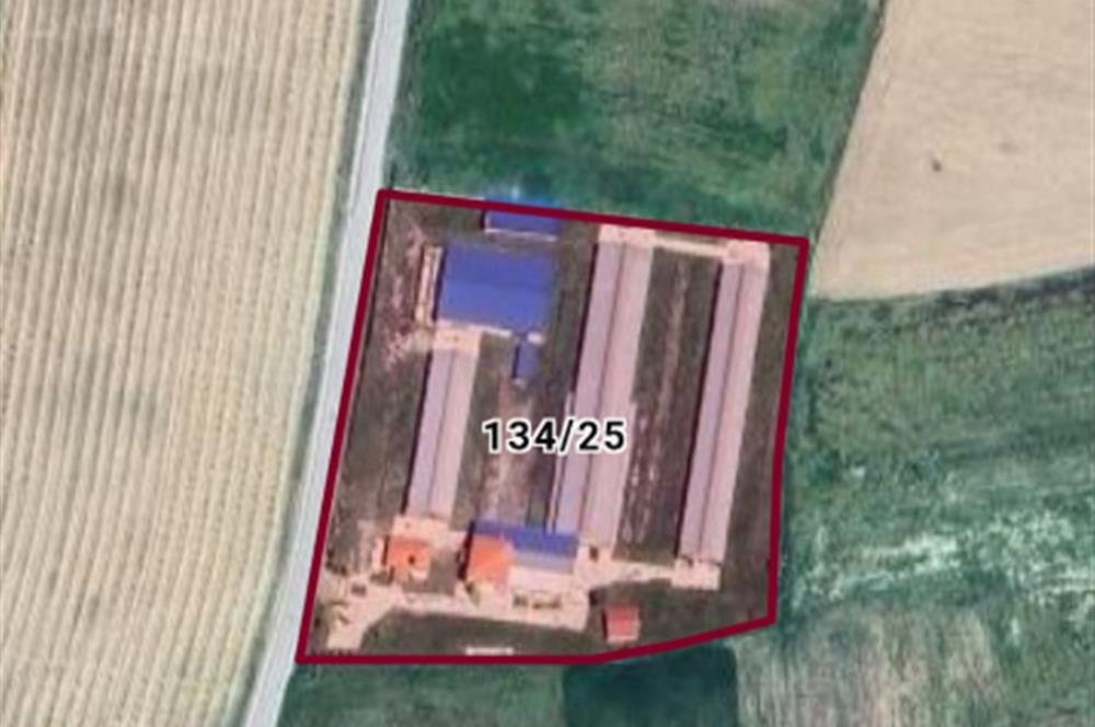 Denizli, 土耳其