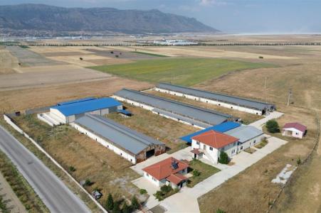 Denizli, 土耳其