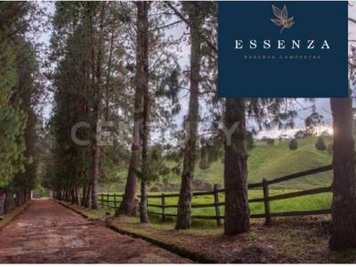 Rionegro, Antioquia 054030, Colombia