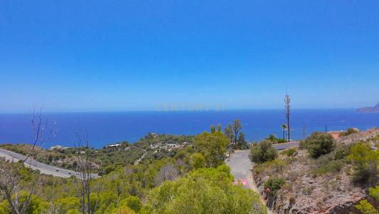 Alacant/Alicante, Comunitat Valenciana 03590, Spain