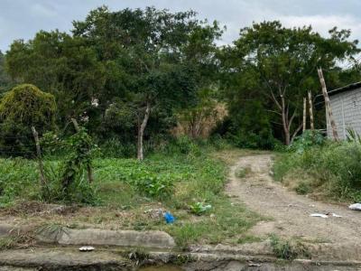 CALLE TUNGURAHUA Y CALLEJON 17 00, Jipijapa, Manabí 00001, 에쿠아도르