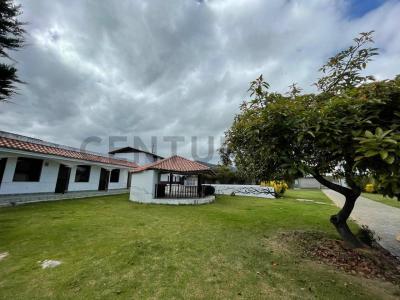 Calle Luis Pallares y Pasaje D Barrio San Vicente S/N, Quito, Pichincha 00001, Ecuador