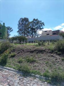 Luis de la Fuente 22,, Amozoc, Puebla 72998, Mexico