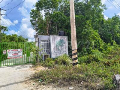 spm 130 mza 07 Lote 462 Calle S/N Fraccionamiento Bosques del Caribe lote 462,, Cancún/Benito Juárez, Quintana Roo 77540, Mexico