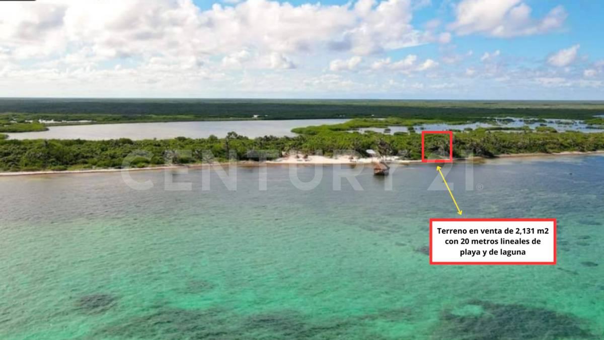 carretera xcalak - Mahahual lote 2880,, Othon P Blanco, Quintana Roo 77940, México