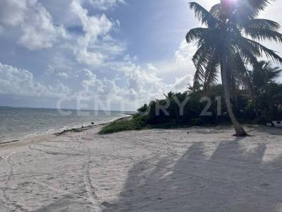 carretera xcalak - Mahahual lote 2880,, Othon P Blanco, Quintana Roo 77940, México