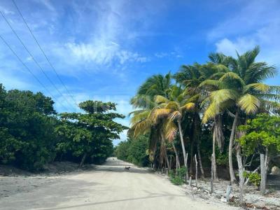 carretera xcalak - Mahahual lote 2880,, Othon P Blanco, Quintana Roo 77940, México