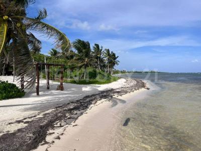 carretera xcalak - Mahahual lote 2880,, Othon P Blanco, Quintana Roo 77940, México