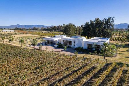 Viñedos San Francisco s/n,, San Miguel De Allende, ولاية غواناخواتو 37700, المكسيك