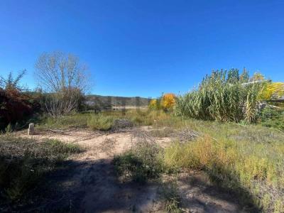 CALLEJON LOS ALAMOS, OLAVARRIA Y TERRADA , Luján De Cuyo, 멘도사 5509, 아르헨티나