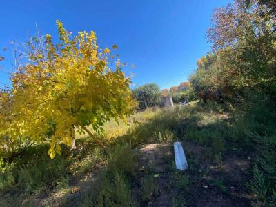 CALLEJON LOS ALAMOS, OLAVARRIA Y TERRADA , Luján De Cuyo, 멘도사 5509, 아르헨티나