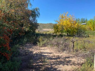 CALLEJON LOS ALAMOS, OLAVARRIA Y TERRADA , Luján De Cuyo, 멘도사 5509, 아르헨티나