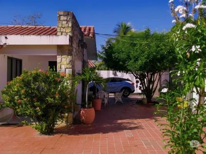 Calle Japunaqui, Barrio El Palmar 36, Cercado, Beni 00001, 玻利维亚